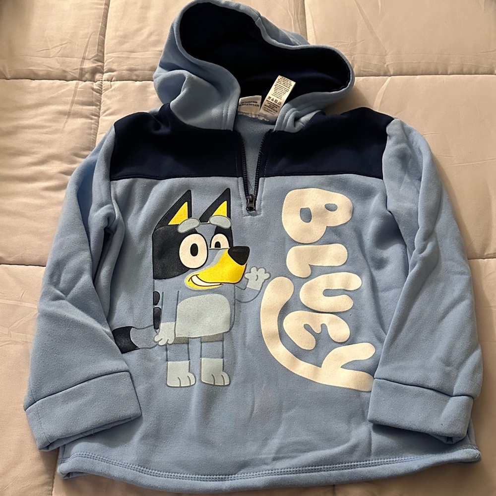Disney Bluey Character Hoodie